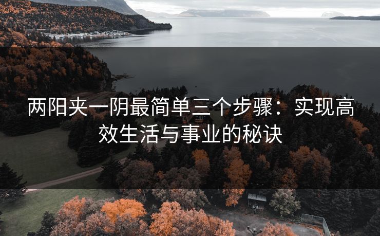 两阳夹一阴最简单三个步骤：实现高效生活与事业的秘诀