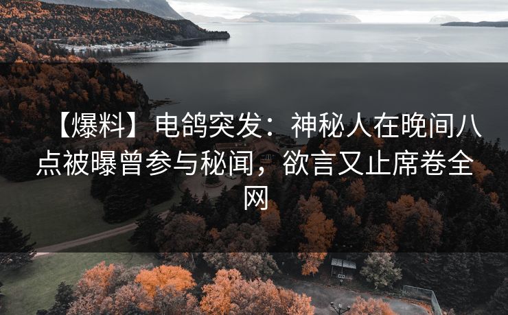 【爆料】电鸽突发：神秘人在晚间八点被曝曾参与秘闻，欲言又止席卷全网